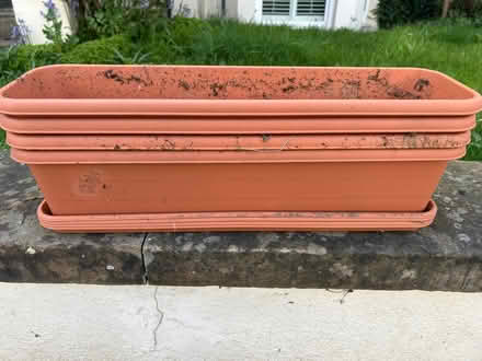 Photo of free Four Window boxes and trays (Surbiton KT6) #2