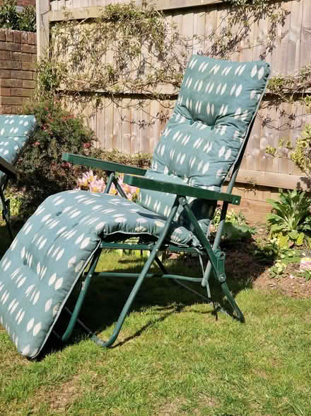 Photo of free Sun loungers (Topsham EX3) #2