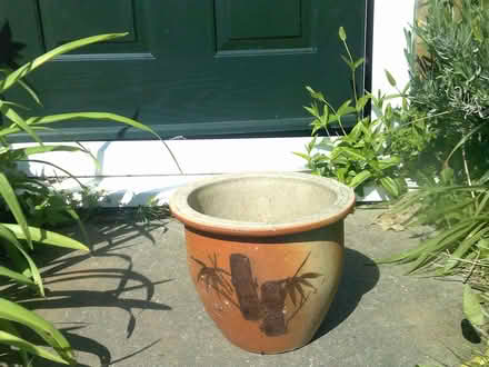 Photo of free planter (Bedwell SG1) #1
