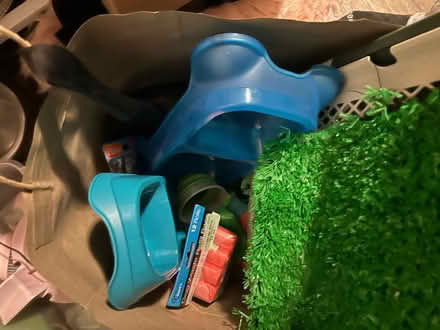 Photo of free Various dog items (Near Addison Road) #1