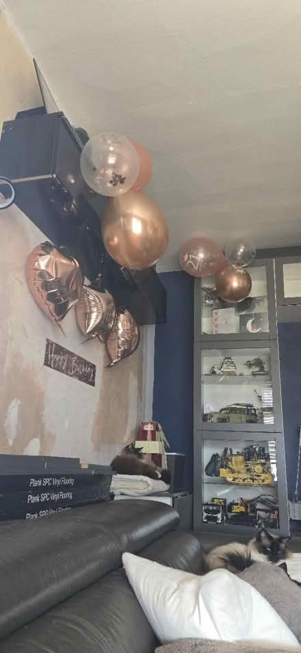 Photo of free 21st Birthday Decorations (Nelson, BB9) #2