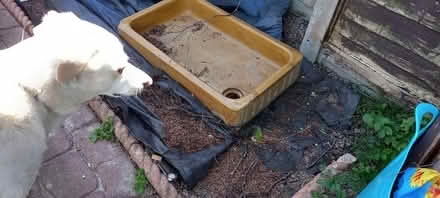 Photo of free Sink for planter (Paddock Wood TN12) #2
