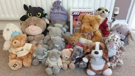 Photo of free Teddies/soft toys (Leicester LE2) #1