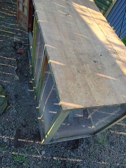 Photo of free Hen House & run (Darlington) #3