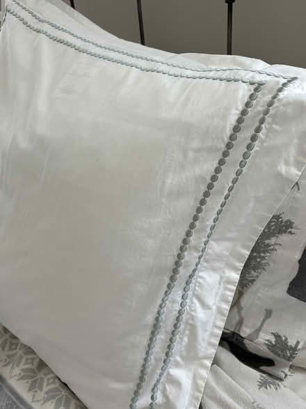 Photo of free 2- 23” x 25” decorative pillows (Doylestown PA) #1