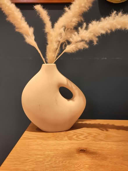 Photo of free Cream decorative vase with dried grasses (Berkhamsted HP4) #1