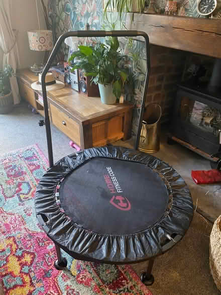 Photo of free Mini rebounding trampoline (Bramley LS13) #1