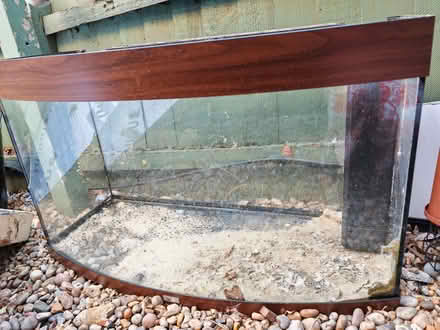 Photo of free Juwel 180 litre bow front fish tank and accessories (Upper Walthamstow E17) #1