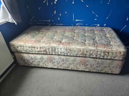 Photo of free Single divan bed (Bradwell MK13) #1