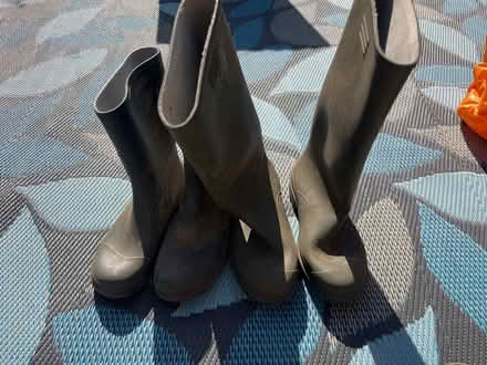 Photo of free Wellies (CH2, Newton) #1