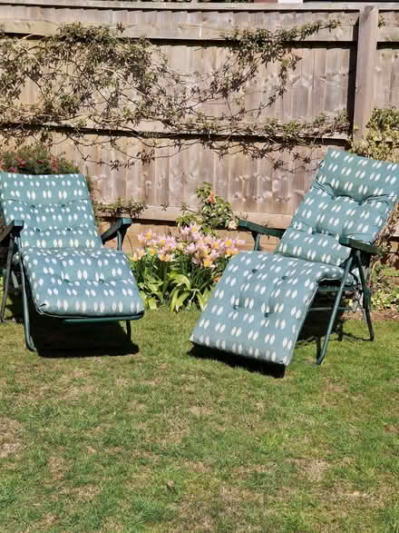 Photo of free Sun loungers (Topsham EX3) #1