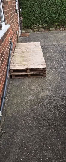 Photo of free 3 Pallets (Arnold NG5) #1