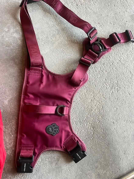 Photo of free Dog harness (Acton, MA) #1