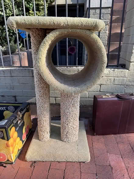 Photo of free Cat scratching post (Capitol Hill) #1