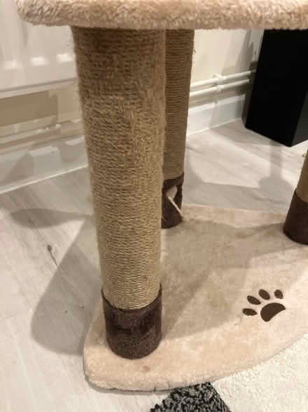 Photo of free Cat climbing/scratching post (Furzton, Milton keynes) #2