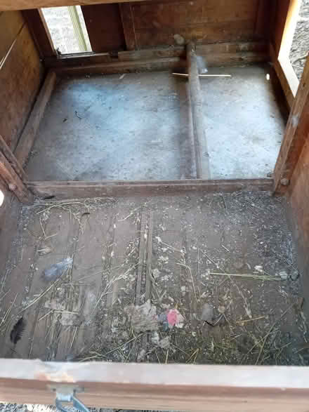 Photo of free Hen House & run (Darlington) #4