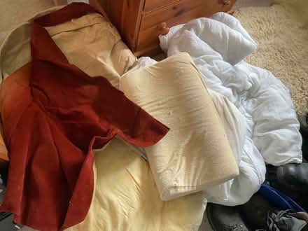 Photo of free Old bedding (Eastwood) #1