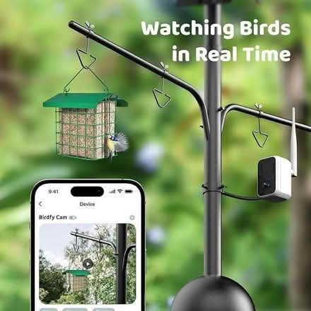 Photo of free Bird feeder with camera (Charlton Kings GL52) #2