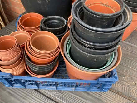 Photo of free Huge collection gardening flower pots, saucers & trays (Calthwaite CA11) #2