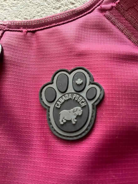 Photo of free Dog harness (Acton, MA) #2