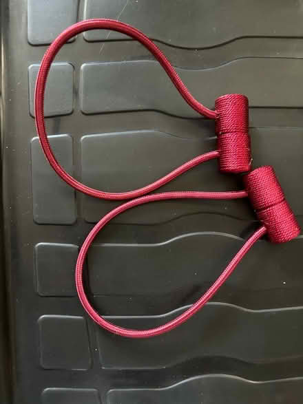 Photo of free Pair of magnetic curtain tie backs (Castle, CW8) #1