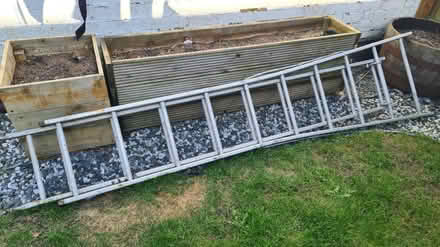 Photo of free Ladder (Scotstoun G14) #3