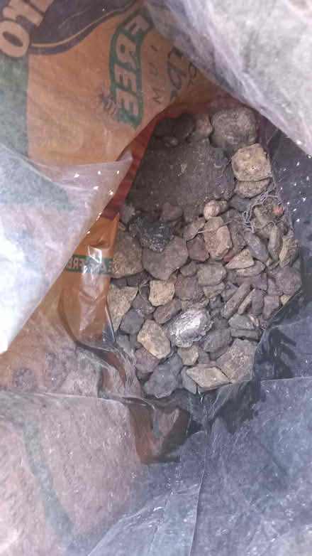 Photo of free Hardcore (Chapel Allerton LS7) #2