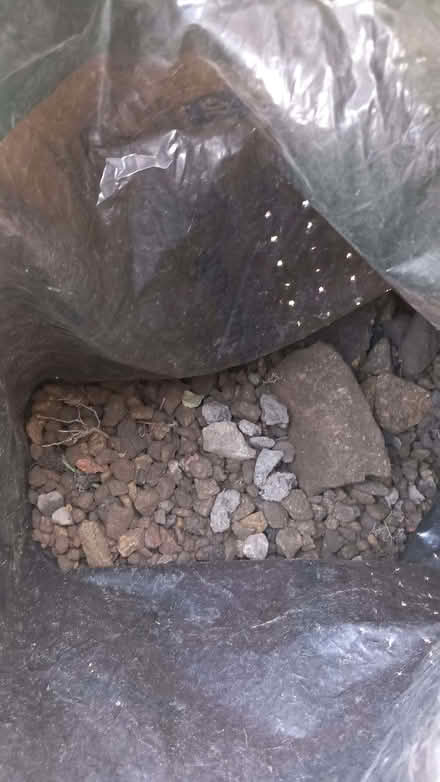 Photo of free Hardcore (Chapel Allerton LS7) #3