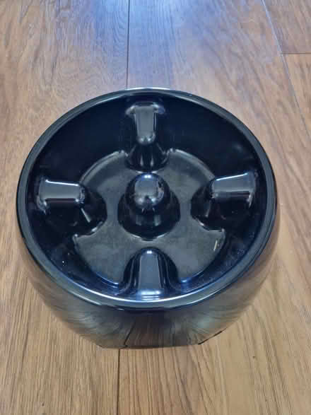 Photo of free Slow feeder dog bowl (Kempston, MK42) #1