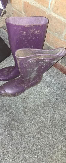 Photo of free Purple wellies size 6 (Arnold NG5) #1