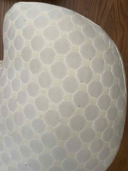 Photo of free Natty pregnancy pillow (Victoria Park) #4