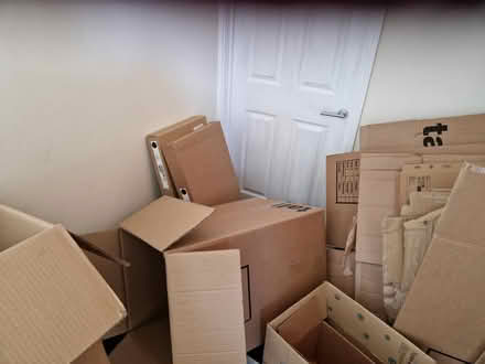 Photo of free Boxes left over from house move (Sl6 6lh) #3
