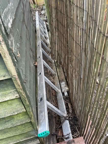 Photo of free Tall aluminium ladder (Anerley) #1