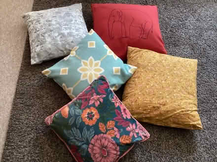 Photo of free Various cushions (Cam GL11) #1