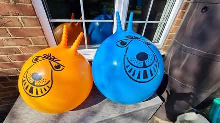 Photo of free 2 Spacehoppas - Ashtead (Ashtead) #1