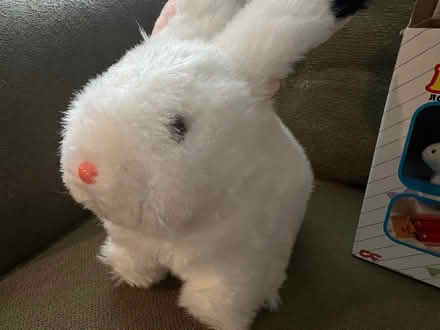 Photo of free Battery Operated Robbie Rabbit (South Surrey, BC) #2