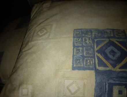 Photo of free 2 cushions (Kirkstall LS5) #1