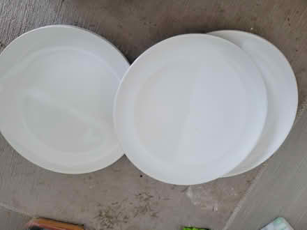 Photo of free Dinner Plates (West End LA4) #1