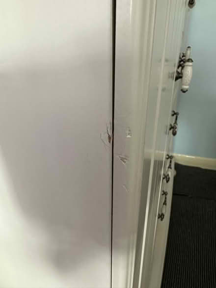 Photo of free Bedroom cupboard (Paulton) #4