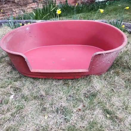 Photo of free Plastic dog bed (The Folly BN7) #1