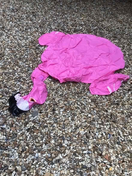 Photo of free Inflatable flamingos (Milford on Sea SO41) #1