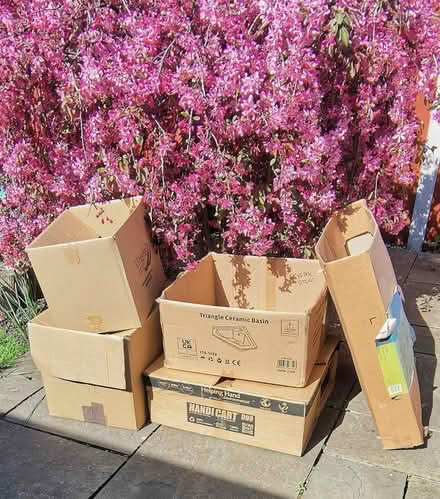 Photo of free Cardboard boxes x5 (Flint CH6) #1