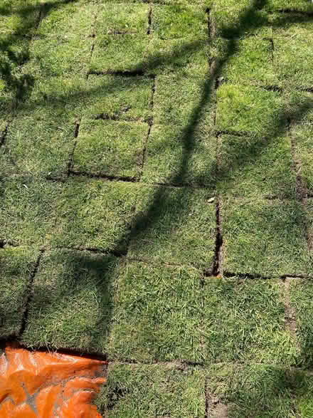 Photo of free Approx. 6 sq metres of good quality lawn/ turf. (Hellesdon NR6) #2
