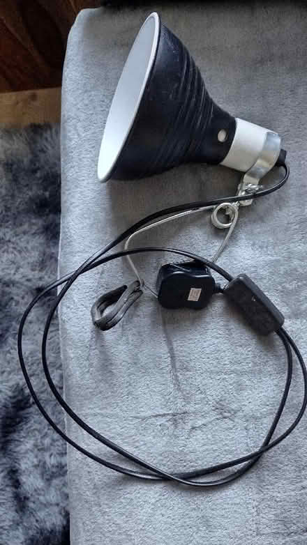 Photo of free Vivarium light (Calow S44) #1