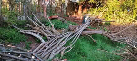 Photo of free Fire wood (Rakegate Estate WV10) #2