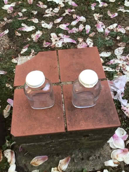 Photo of free Two small glass bottles (Garden City OX5) #3