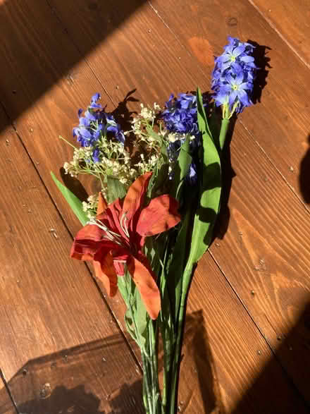 Photo of free Artificial flowers (Wallands Park BN7) #2