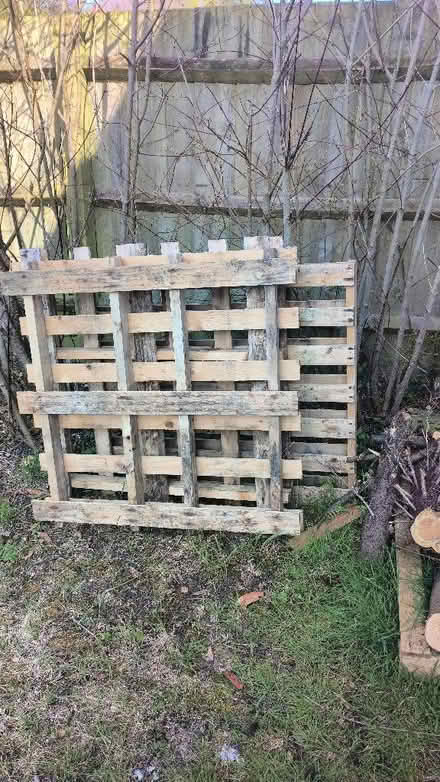 Photo of free Pallets x 9 (Stockwood BS14) #2