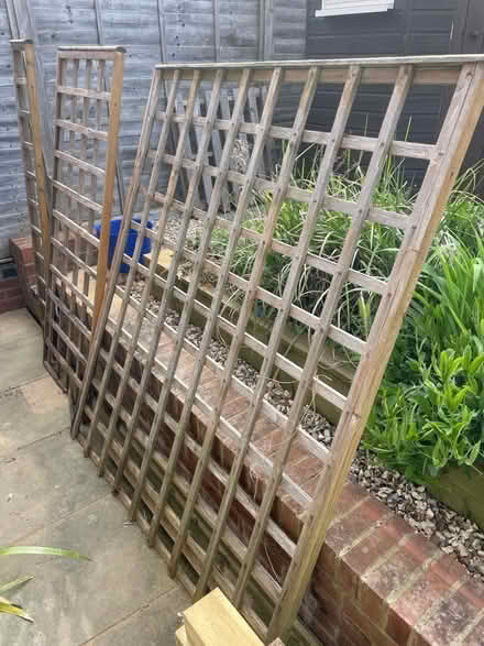 Photo of free Three Section Of Trellis (Northcourt OX14) #1