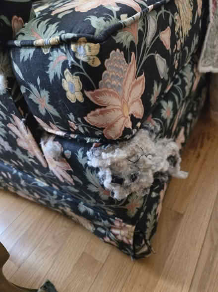Photo of free 86" sofa (Glastonbury) #3